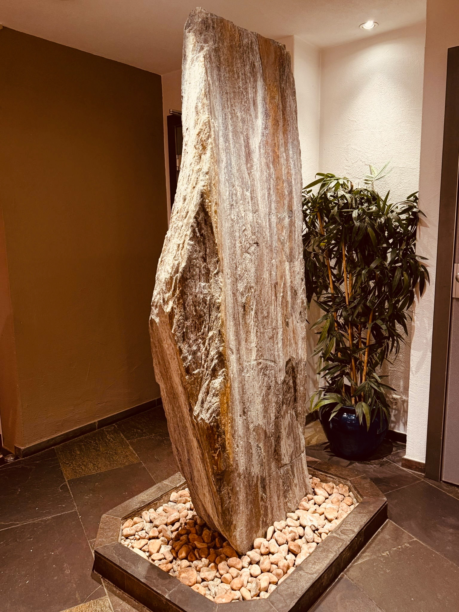 20251204_Bellini_183809-2